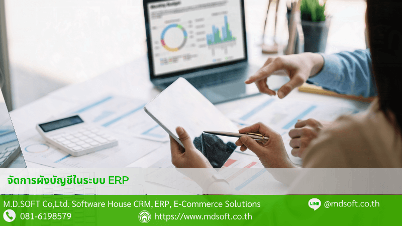 วิธีสร้างผังบัญชี Chart of Accounts ในระบบ ERP MDERP ตัวอย่างผังบัญชี Chart of Accounts ในระบบ ERP MDERP