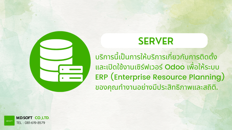 Odoo Server | MDSoft Odoo Service 