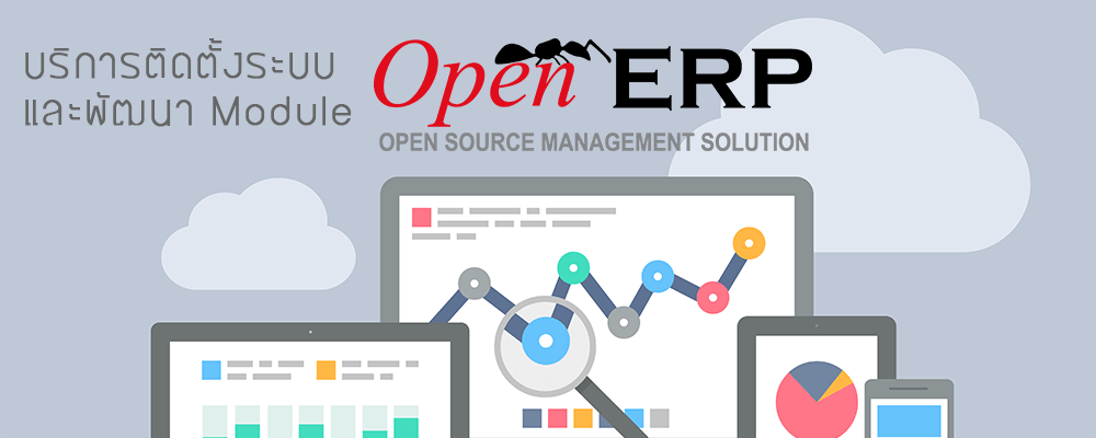 บริการติดตั้งระบบและพัฒนา Module OpenERP