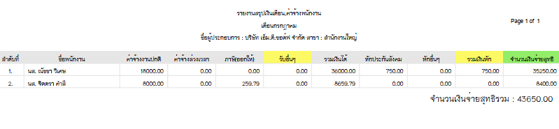 ตัวอย่างรายงานสรุปเงินเดือน,ค่าจ้างพนักงาน ตัวอย่างรายงานสรุปเงินเดือน,ค่าจ้างพนักงาน