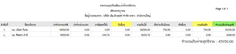 ตัวอย่างรายงานสรุปเงินเดือน,ค่าจ้างพนักงาน