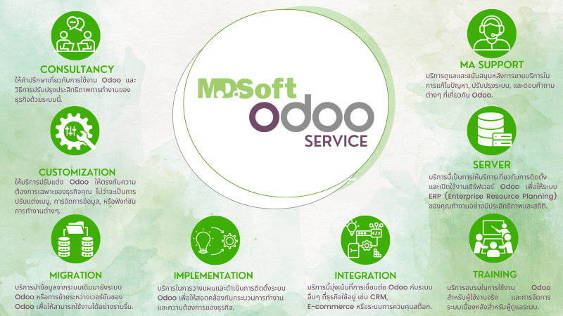  บริการ MDSoft Odoo Service