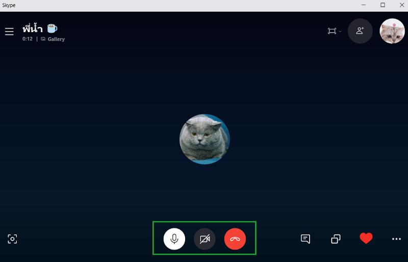 การคอลผ่าน Skype ตัวอย่างการคอล Skype