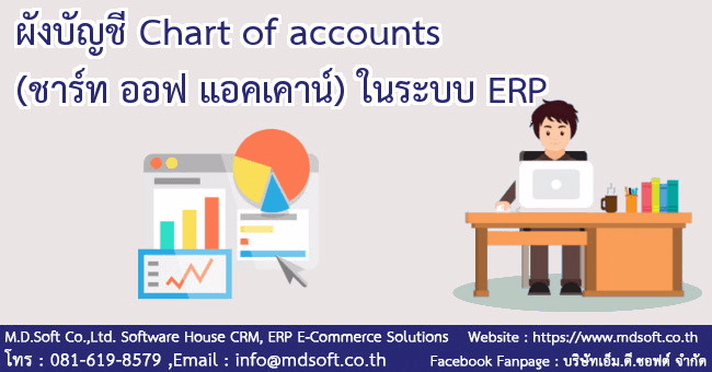 ผังบัญชี Chart of accounts (ชาร์ท ออฟ แอคเคาน์) ในระบบ ERP 