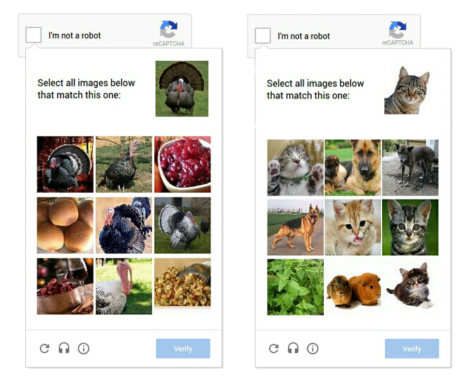 ภาพ reCaptcha ที่ให้เลือกภาพสัตว์ให้ตกมีทั้งที่เป็นนก นกยูง หมา แมว หรือไข่