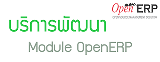 บริการพัฒนา Module OpenERP