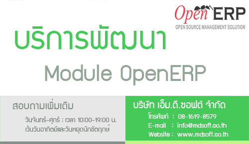 บริการพัฒนา Module OpenERP